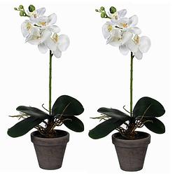 Foto van 2x stuks phalaenopsis orchidee kunstplanten wit in pot h48 x d13 cm cm - kunstplanten/nepplanten met bloemen