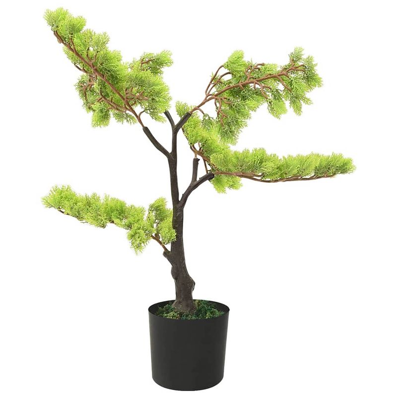 Foto van The living store cipres bonsai kunstplant - 60cm - gedetailleerde bladeren - realistische uitstraling