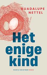 Foto van Het enige kind - guadalupe nettel - paperback (9789038814612)