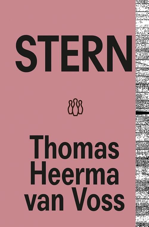 Foto van Stern - thomas heerma van voss - ebook (9789493168893)