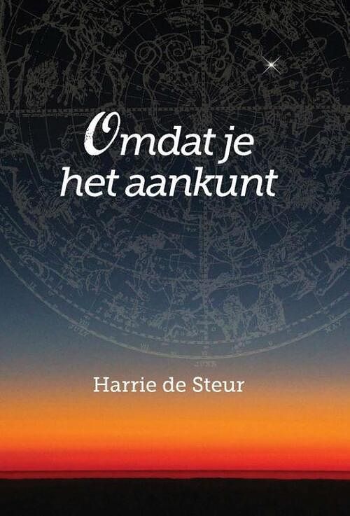 Foto van Omdat je het aankunt - harrie de steur - paperback (9789492421029)