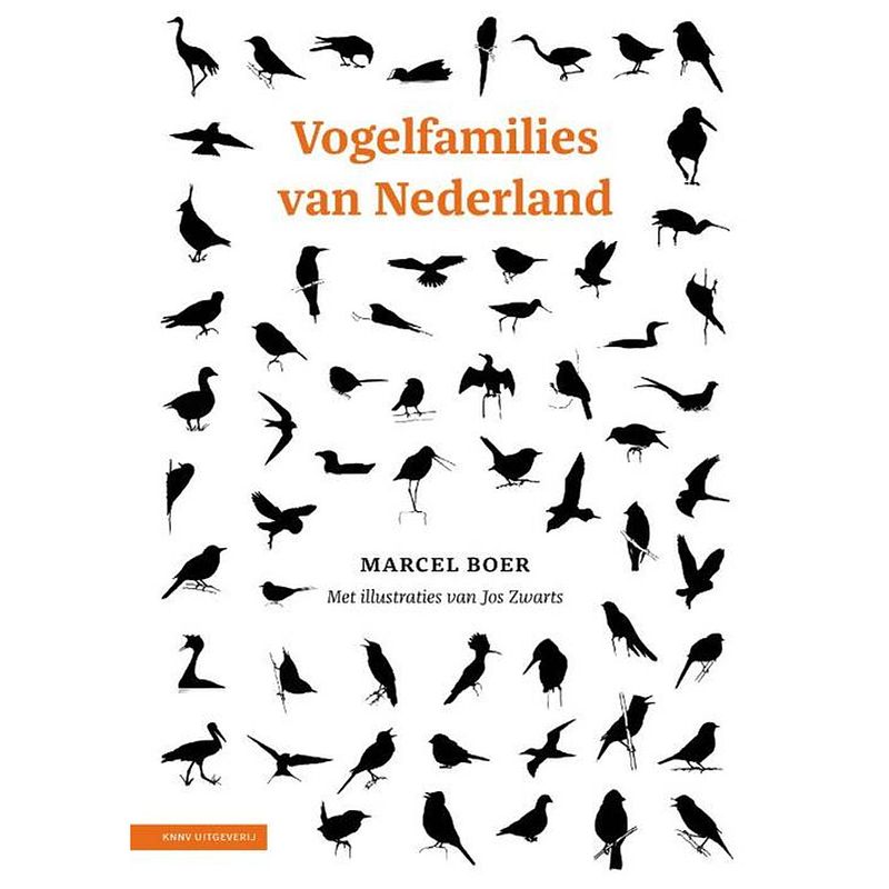 Foto van Vogelfamilies van nederland