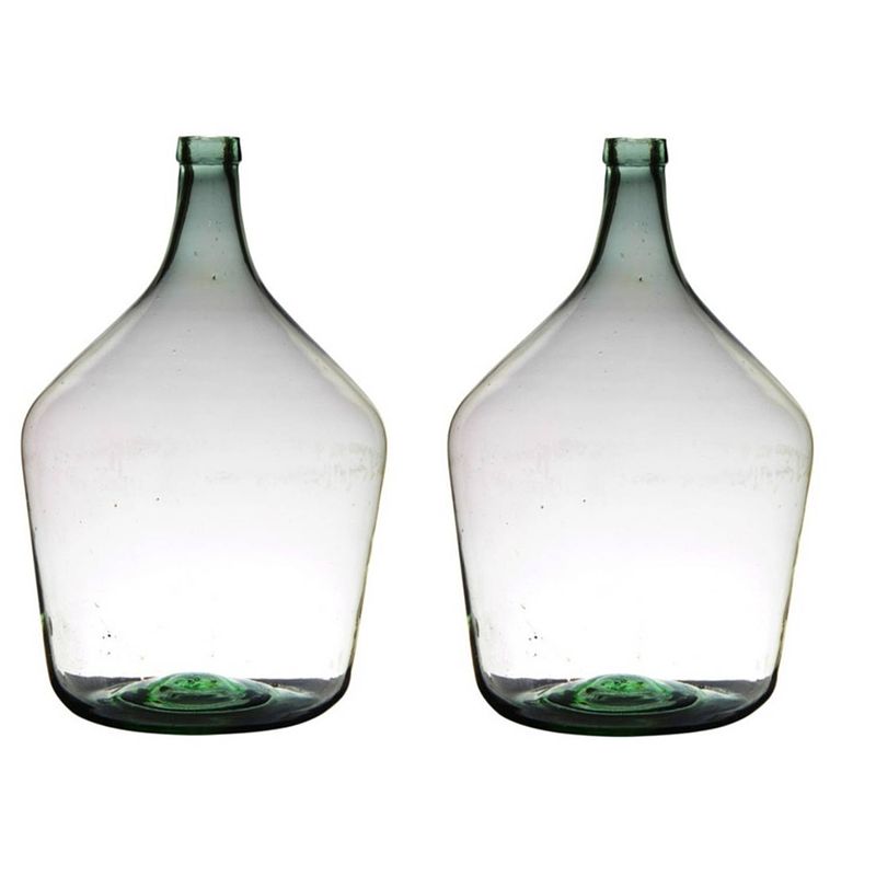 Foto van 2x stuks transparante luxe stijlvolle flessen vaas/vazen van glas 46 x 29 cm - vazen