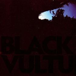 Foto van Black vultures - lp (7319200000721)