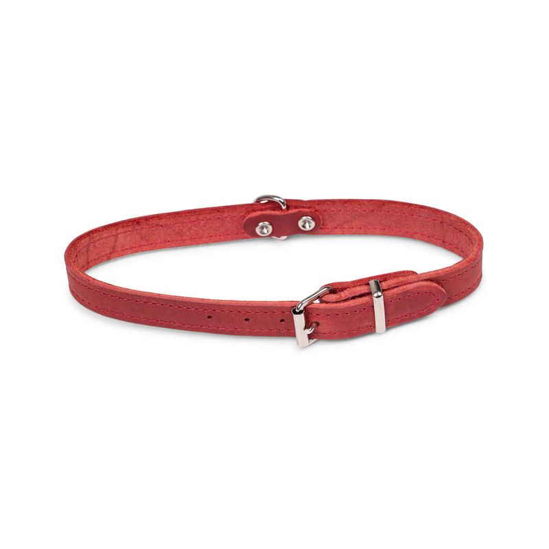 Foto van Dierenbenodigdheden vadigran halsband hond geolied leder rood 47cmx18mm m-l