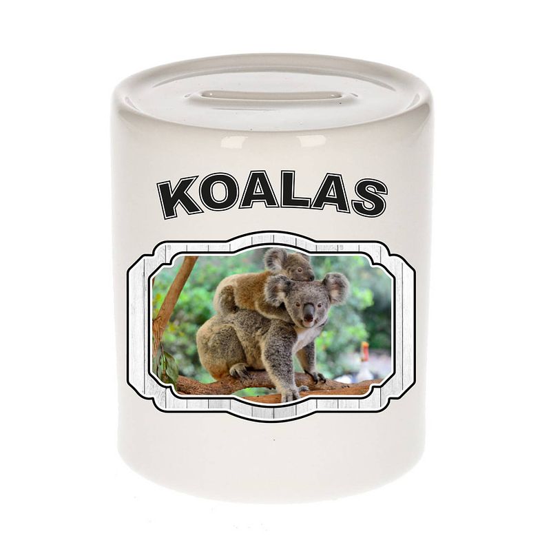 Foto van Dieren koala spaarpot - koalas/ koalaberen spaarpotten kinderen 9 cm - spaarpotten