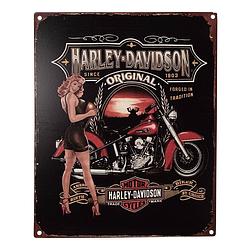 Foto van Clayre & eef tekstbord 20x25 cm zwart rood ijzer vrouw met motor harley davidson wandbord spreuk wandplaat zwart