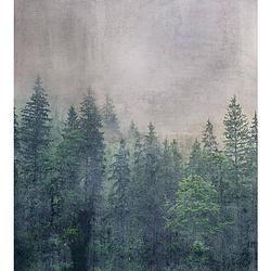 Foto van Dimex forest abstract fotobehang 225x250cm 3-banen