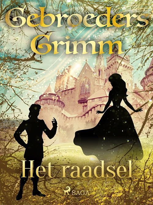 Foto van Het raadsel - de gebroeders grimm - ebook