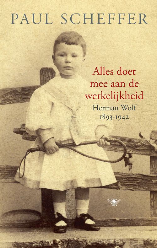 Foto van Alles doet mee aan de werkelijkheid - paul scheffer - ebook (9789023472643)