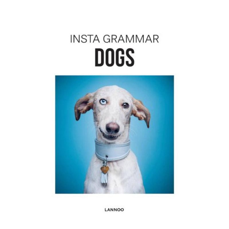 Foto van Dogs - insta grammar