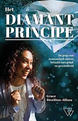 Foto van Het diamantprincipe - grace rivellino - ebook