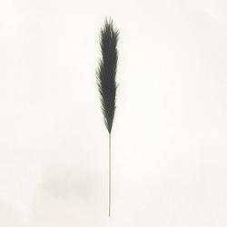 Foto van Pampas gras 130 cm zwart kunstplant