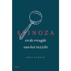 Foto van Spinoza en de vreugde van het inzicht