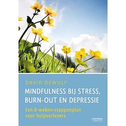 Foto van Mindfulness bij stress, burn-out en depressie
