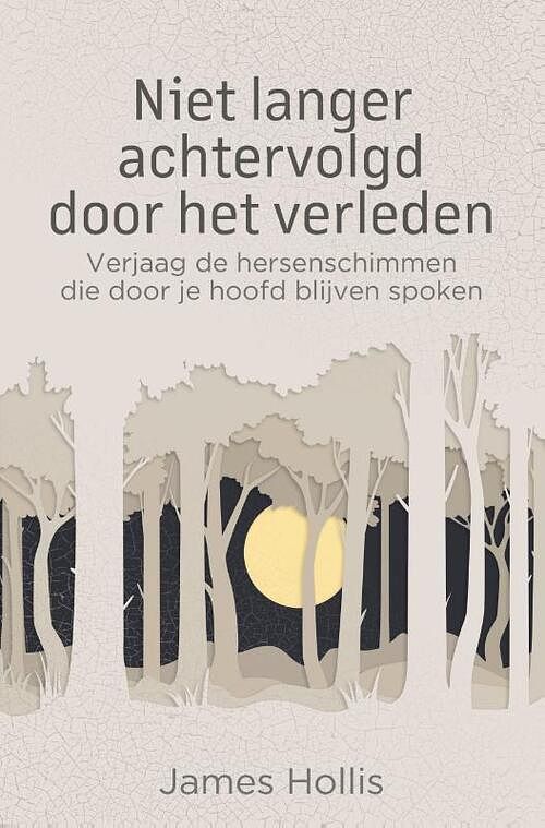 Foto van Niet langer achtervolgd door het verleden - james hollis - paperback (9789020220902)