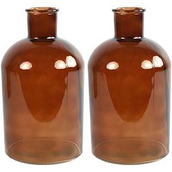 Foto van 2x stuks countryfield vaas - bruin - glas - apotheker fles vorm - d14 x h27 cm - vazen