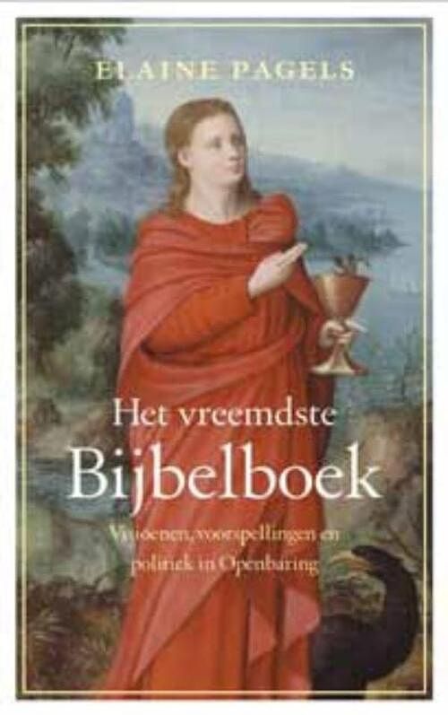 Foto van Het vreemdste bijbelboek - elaine pagels - ebook (9789025901370)