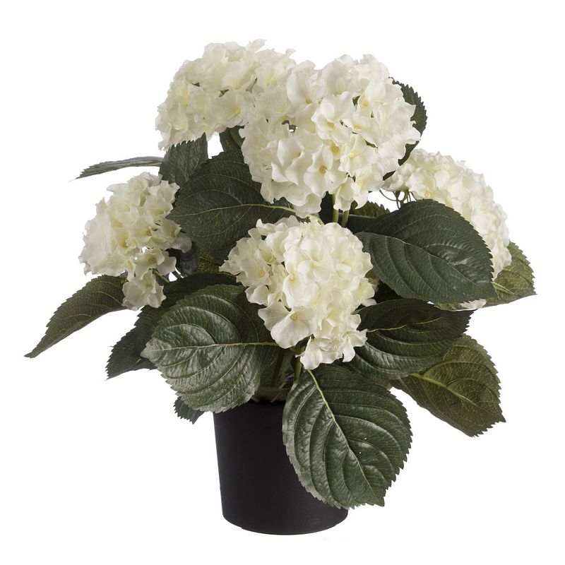 Foto van Witte hortensia hydrangea kunstplant in zwarte kunststof pot 44 cm - kunstplanten