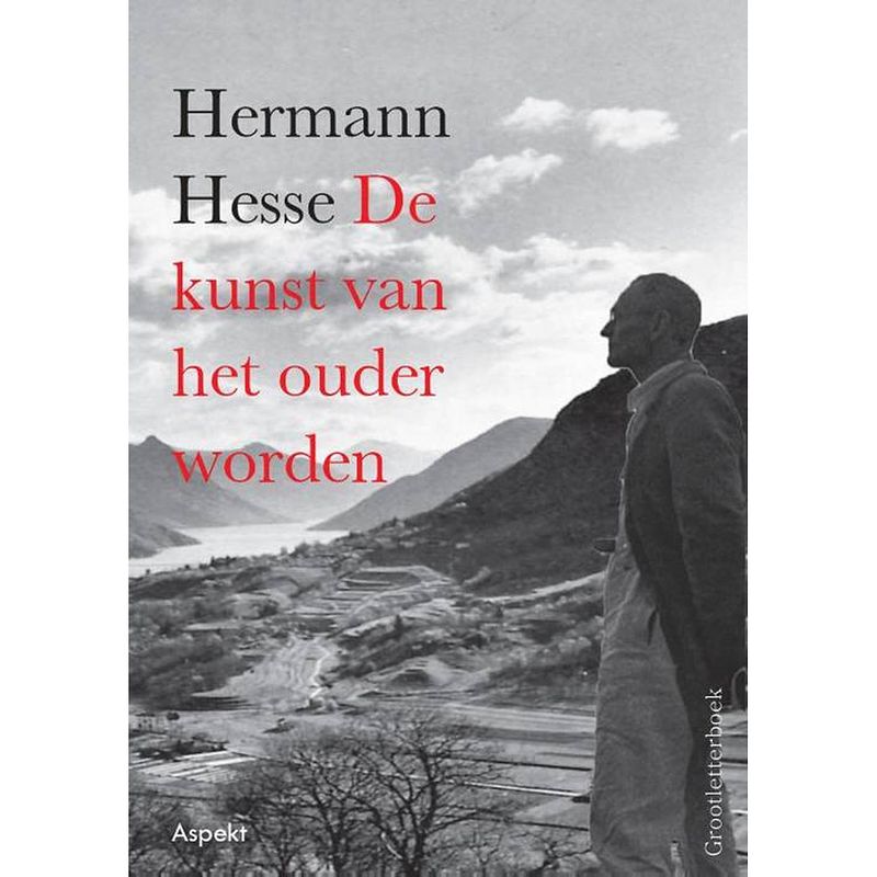 Foto van De kunst van het ouder worden - grootletterboek