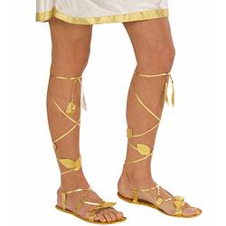 Foto van Gouden sandalen volwassenen - verkleedschoenen