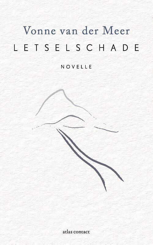 Foto van Letselschade - vonne van der meer - ebook (9789025473174)