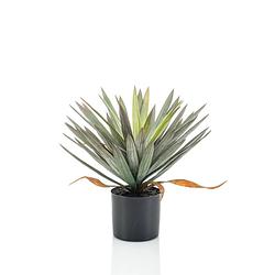 Foto van Yucca kunstplant 50cm