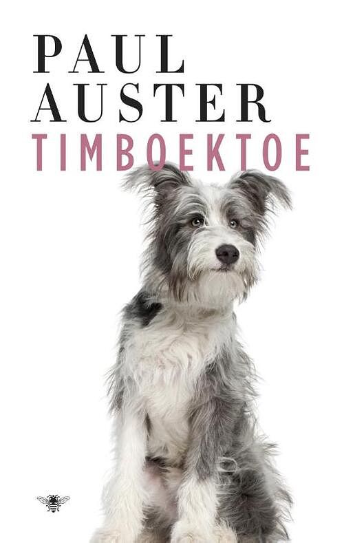 Foto van Timboektoe - paul auster - ebook (9789023486275)