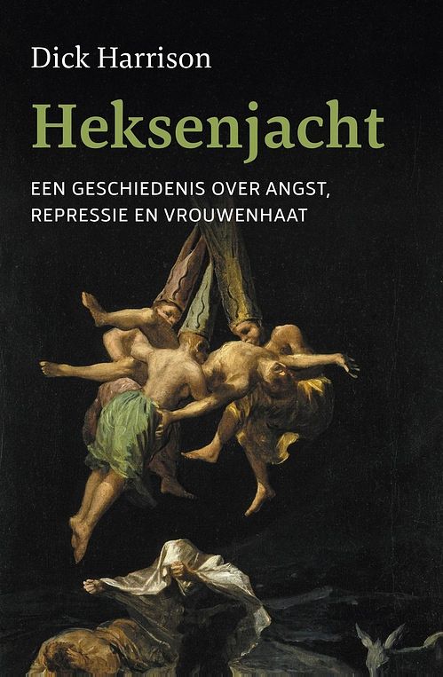 Foto van Heksenjacht - dick harrison - ebook