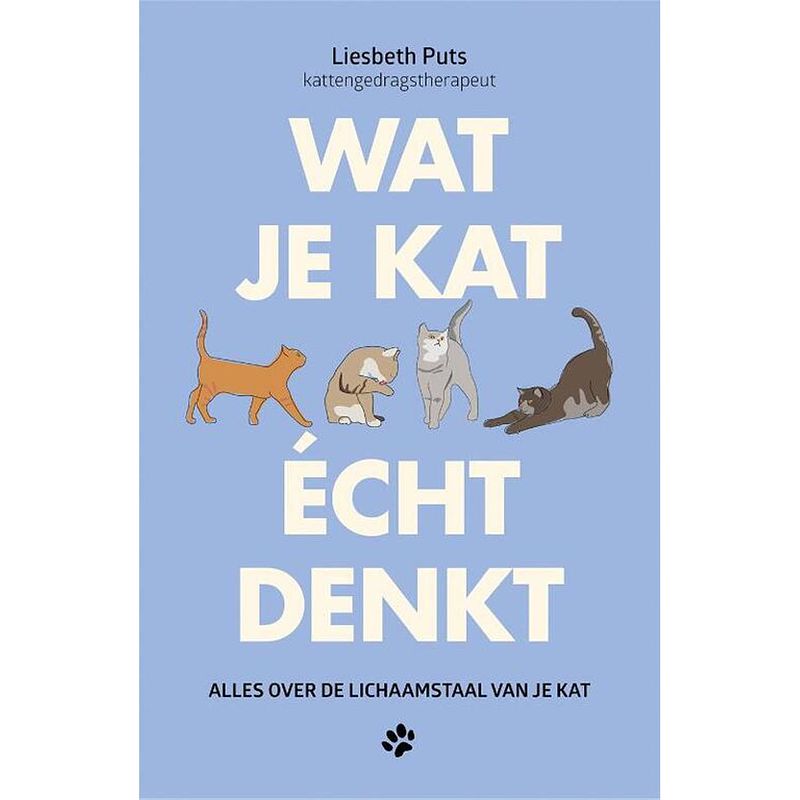 Foto van Wat je kat écht denkt