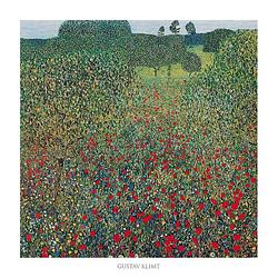 Foto van Gustav klimt - campo di papaveri kunstdruk 70x70cm