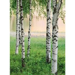 Foto van Wizard+genius nordic forest vlies fotobehang 192x260cm 4-banen