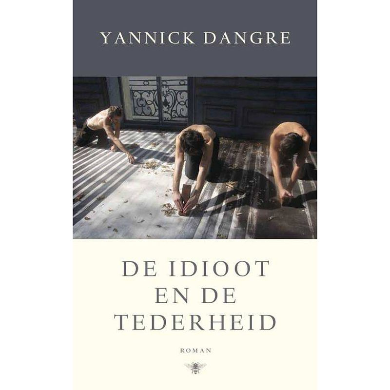 Foto van De idioot en de tederheid