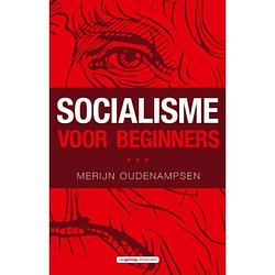 Foto van Socialisme voor beginners