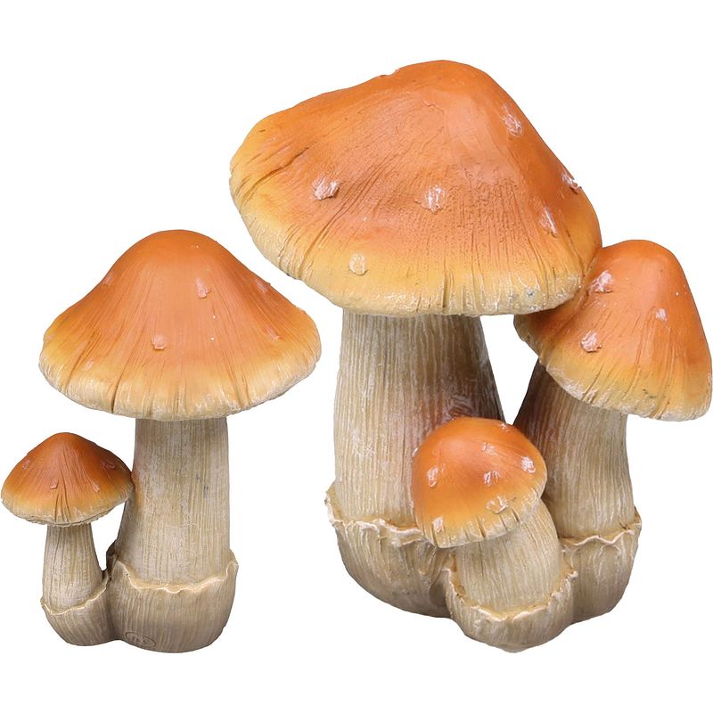 Foto van Decoratie paddenstoelen setje met 2x boleet paddenstoelen - herfst thema - tuinbeelden
