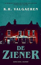 Foto van De ziener - k.r. valgaeren - ebook (9789089245045)