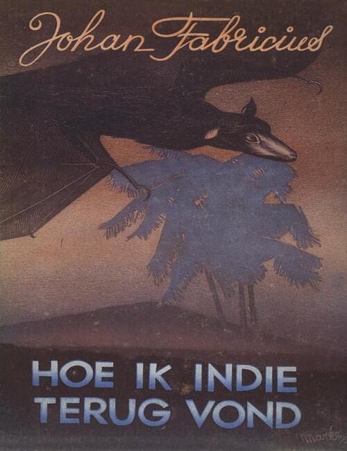 Foto van Hoe ik indie terugvond - johan fabricius - ebook (9789025863296)