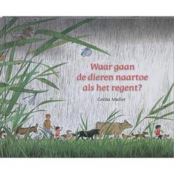 Foto van Waar gaan de dieren naartoe als het regent?