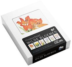 Foto van Wenskaartenset wilde bloemen - studio colori - pakket (9789492598608)