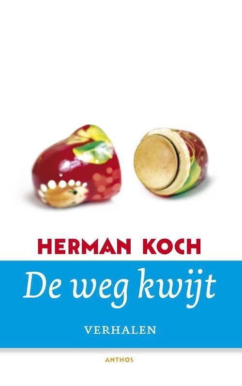 Foto van De weg kwijt - herman koch - ebook