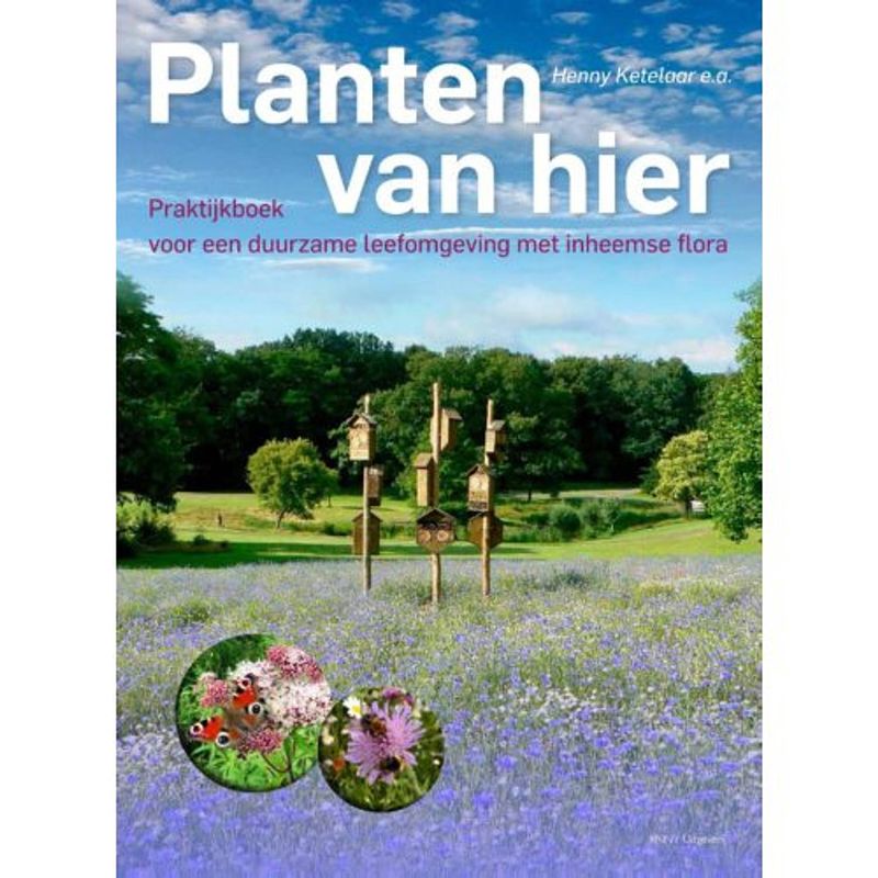 Foto van Planten van hier