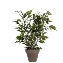 Foto van Groen/witte ficus kunstplant 40 cm voor binnen - kunstplanten/nepplanten/binnenplanten.