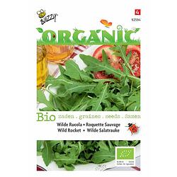 Foto van 5 stuks organic rucola wilde meerjarig (skal 14275)