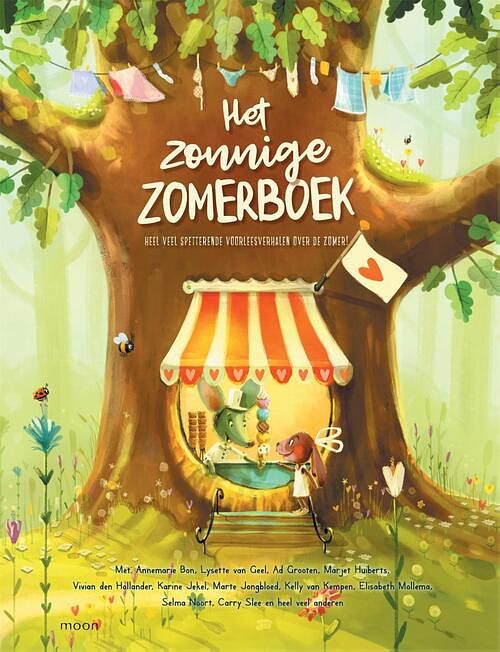 Foto van Het zonnige zomerboek - ad grooten - ebook (9789048856923)