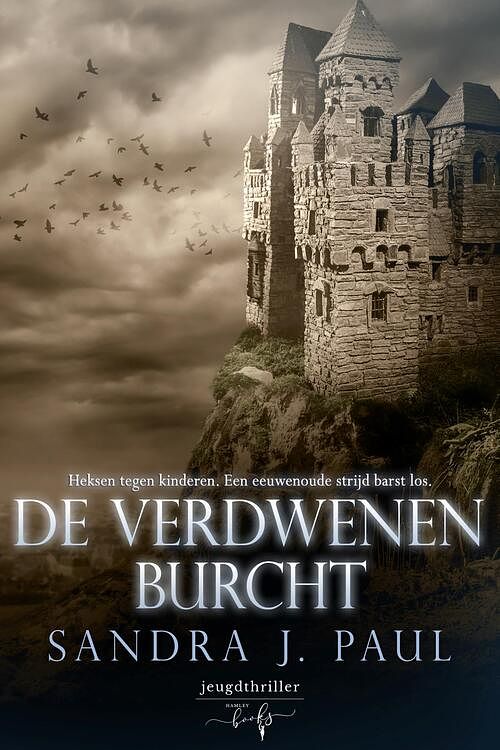 Foto van De verdwenen burcht - sandra j. paul - ebook (9789464208405)