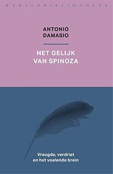 Foto van Het gelijk van spinoza - antonio damasio - ebook (9789028443396)