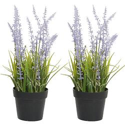 Foto van 2x stuks lavendel kunstplant in pot - lila paars - d15 x h30 cm - kunstplanten