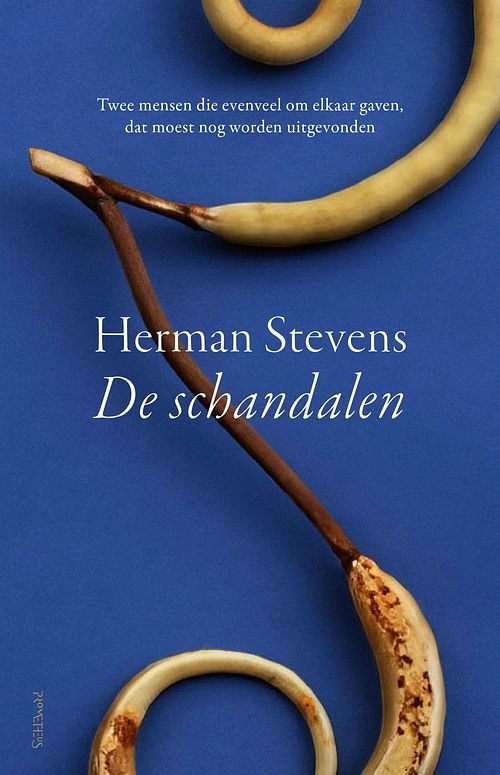 Foto van De schandalen - herman stevens - ebook