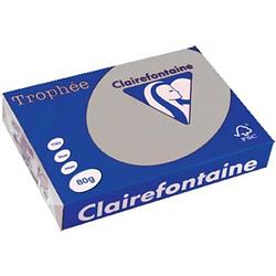 Foto van Clairefontaine trophée pastel a4 lichtgrijs, 80 g, 500 vel