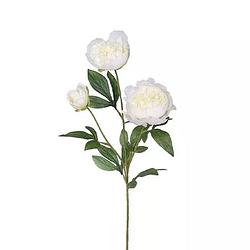 Foto van Buitengewoon de boet - pioenroos tak cream 67 cm kunstplant
